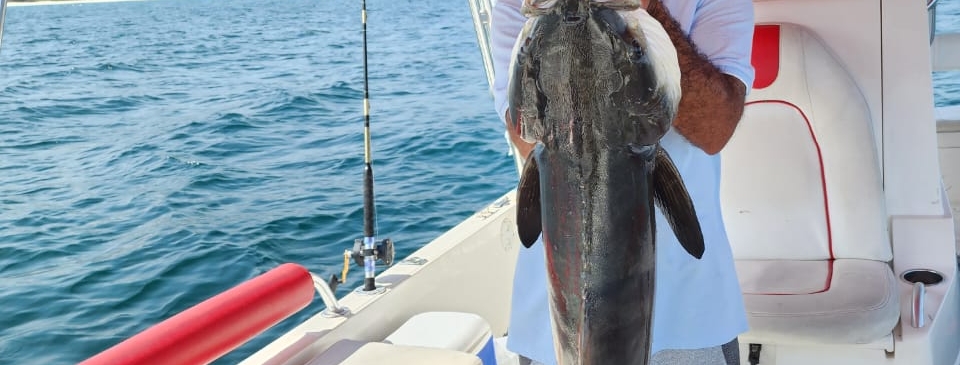 Fishing in Oman: An Exciting Sea Fishing Experience